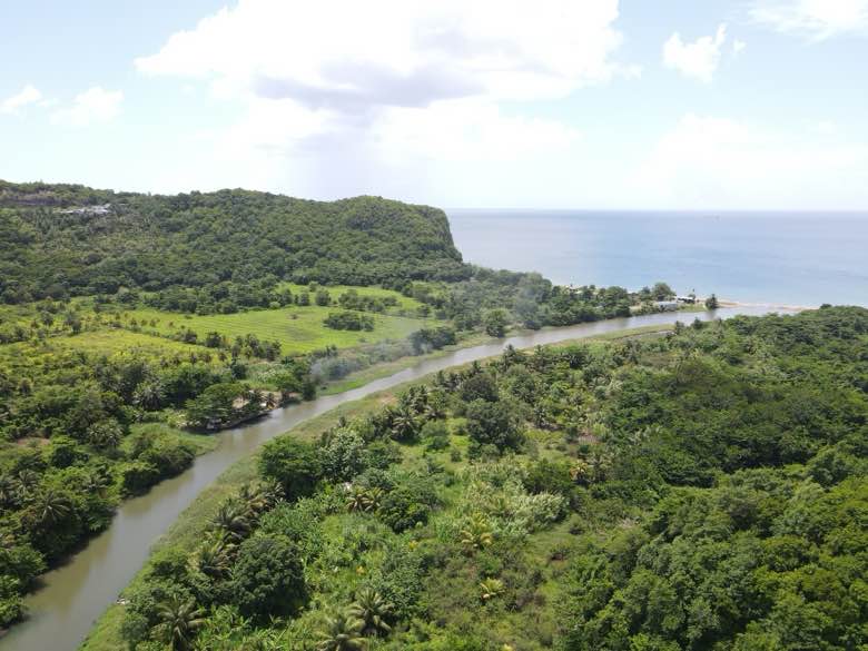 Aerial view of the Roseau Valley where the river runs out to the sea