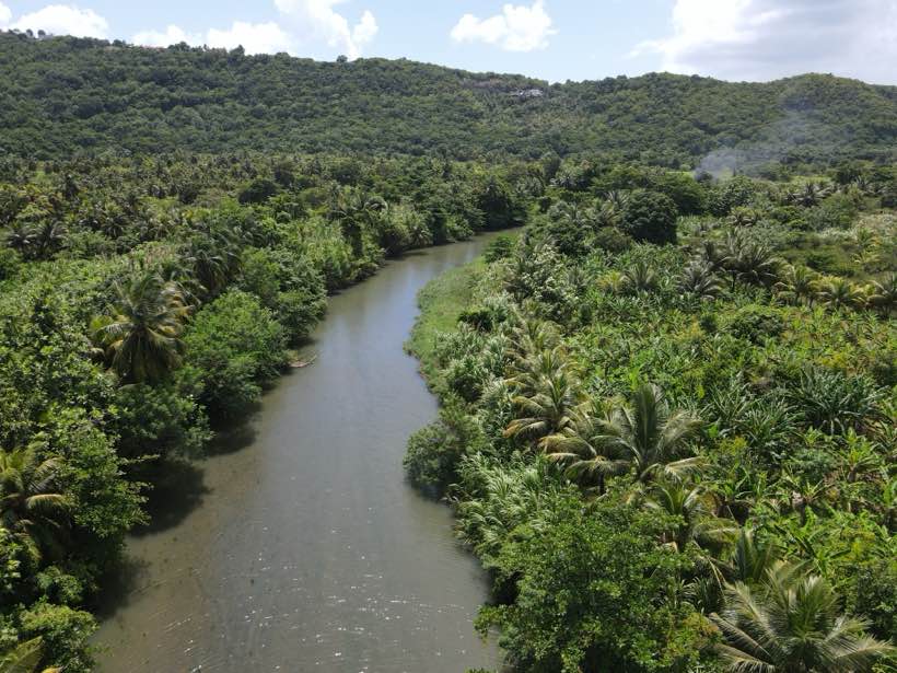 Drone view of the Roseau River winding through coconut palms