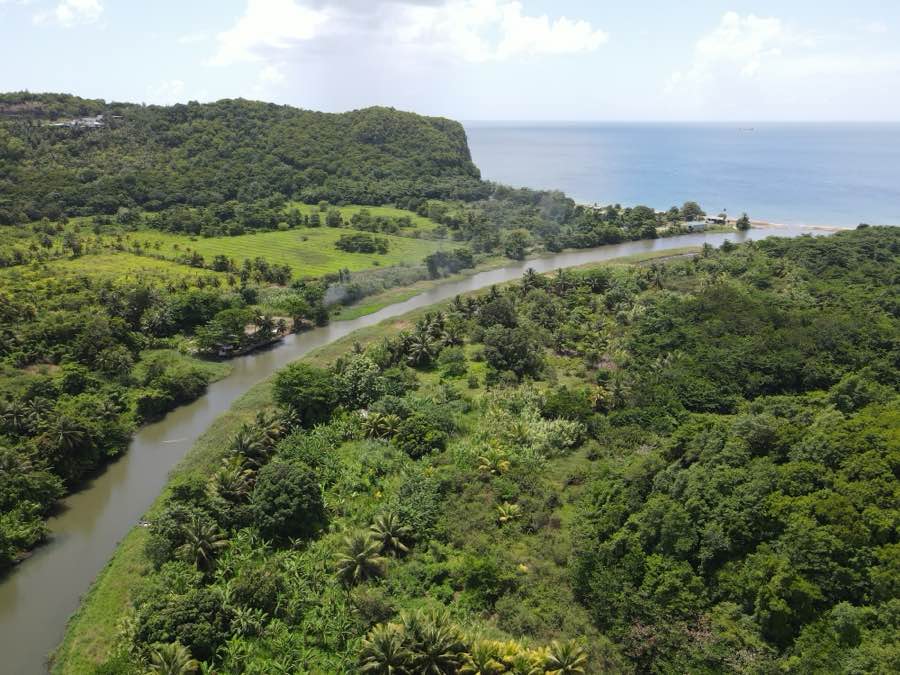 Drone view of the Roseau River bending through the valley toward the sea