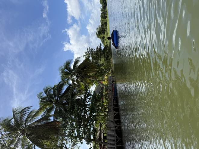 The riverside dock and tiki hut with a guest floating past in a tube