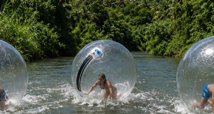 Guests racing water walking balls across the river