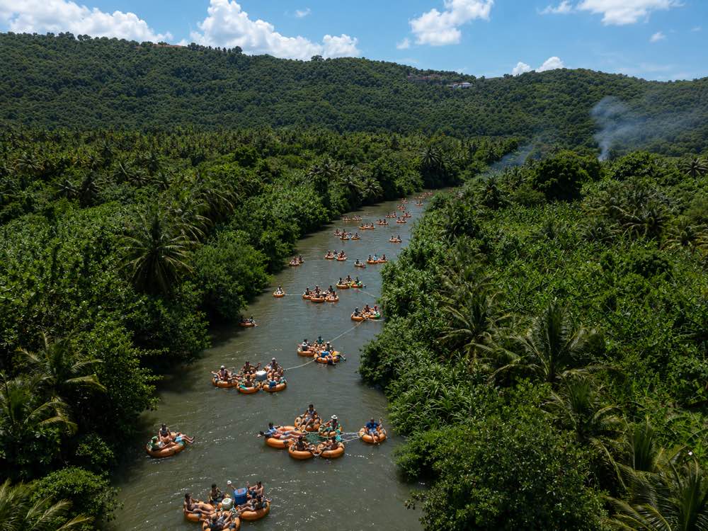 Dozens of guests tubing the Roseau River between walls of palm and banana