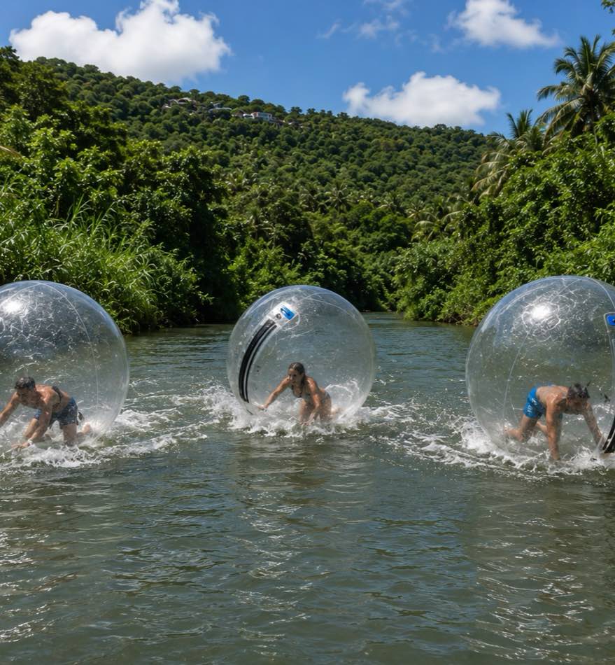 Guests running and tumbling inside giant water walking balls on the river